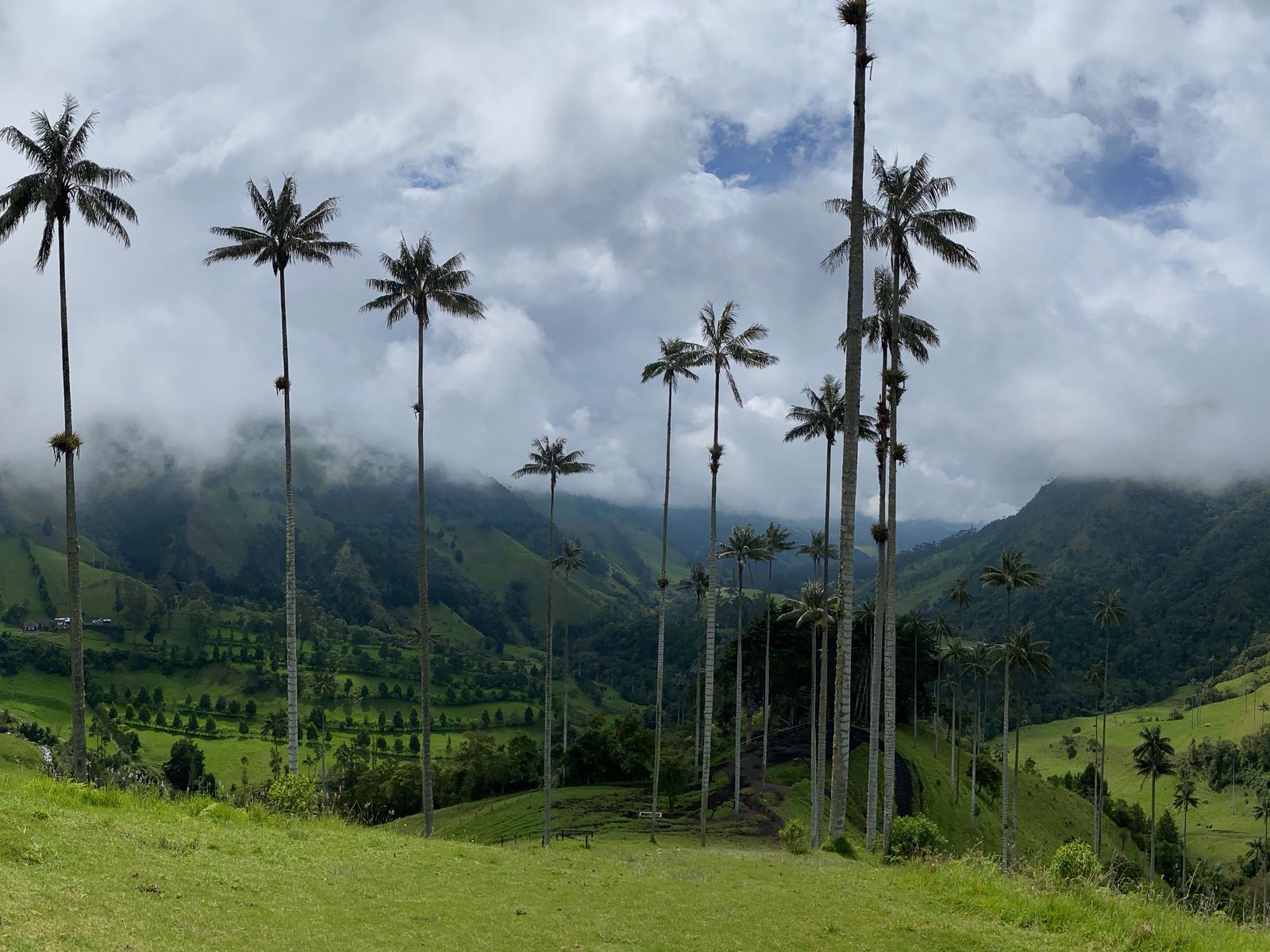 Coffee farms in green mountains and the Tatacoa desert